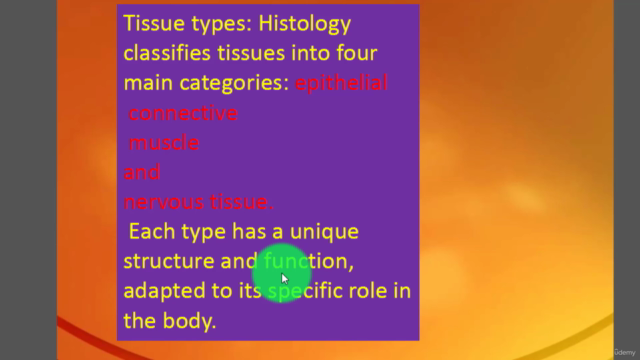 histology fundamentals for medical students – Screenshot 3