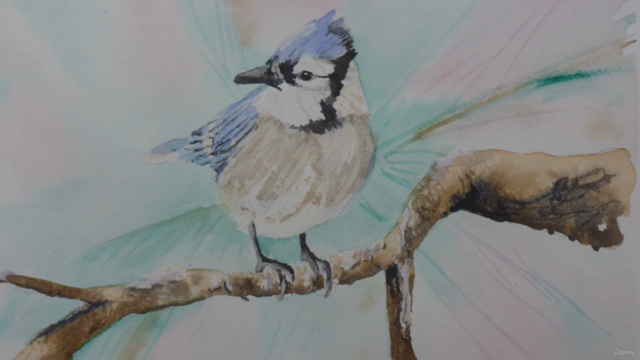 Painting Birds in Watercolour – Screenshot 2