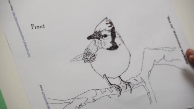 Painting Birds in Watercolour – Screenshot 3