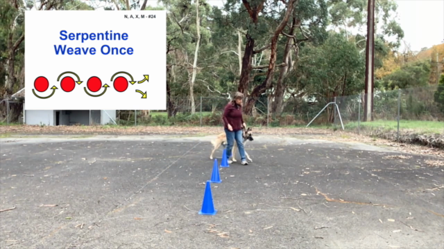 Training Your Dog In Rally For Beginners - Start To Finish – Screenshot 2