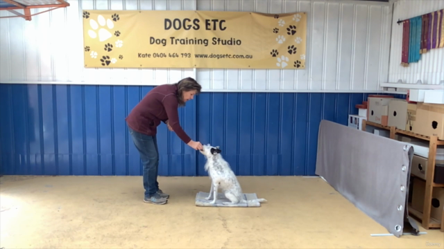 Training Your Dog In Rally For Beginners - Start To Finish – Screenshot 4