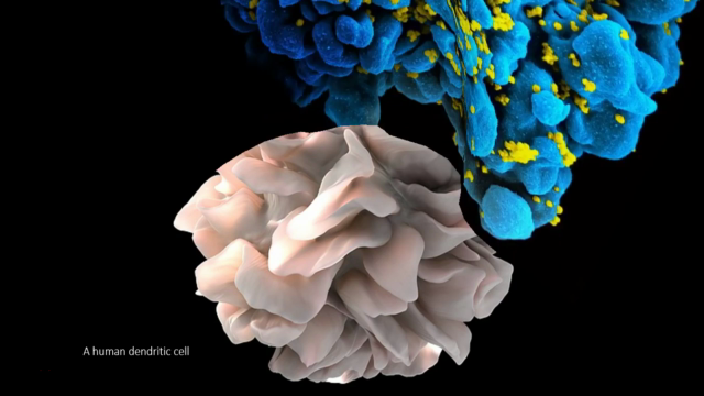 General Biology I: Foundations of Biology – Screenshot 3