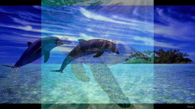 Advanced Soul Purpose Workshops (ASPW) – Screenshot 1