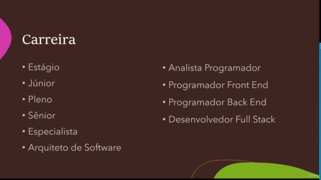 Aprenda Algoritmo e Programação do Zero – Screenshot 2