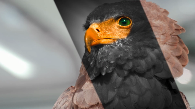 Adobe Lightroom Classic - do Básico ao Avançado – Screenshot 2