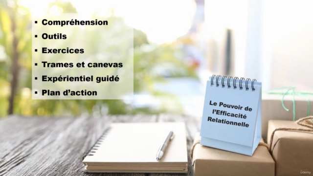 Le Pouvoir de l'Efficacité Relationnelle – Screenshot 4