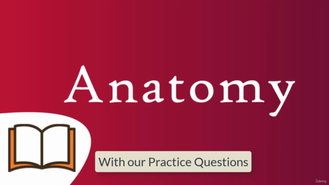 Anatomy Exam Questions Practice Test part 3 - Screenshot_02