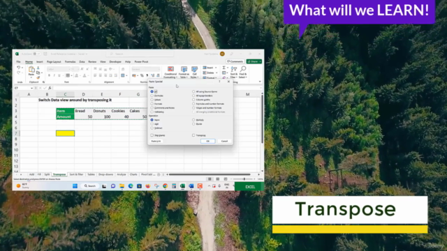 Microsoft Excel Crash Course 2025: Masterclass for Weekend – Screenshot 1