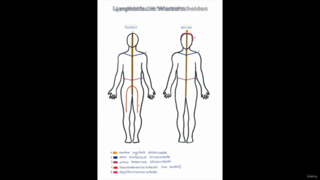 Manuelle Lymphdrainage - Kosmetische Lymphdrainage – Screenshot 3