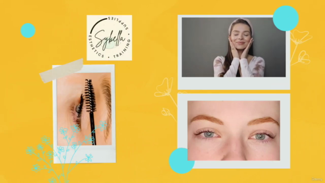 Certified Lash Lift and Tint Artist Training – Screenshot 1