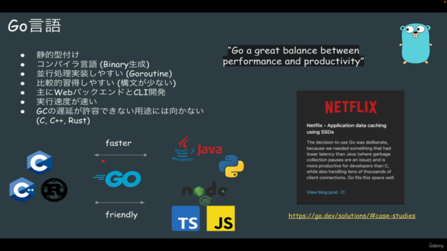 Go言語の基礎と並行処理 – Screenshot 1