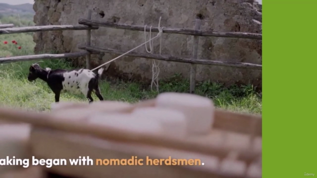 From Milk to Magic: The Transformative Power of Cheesemaking – Screenshot 1