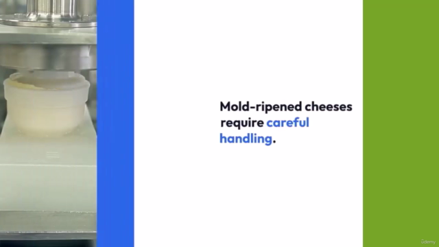 From Milk to Magic: The Transformative Power of Cheesemaking – Screenshot 4