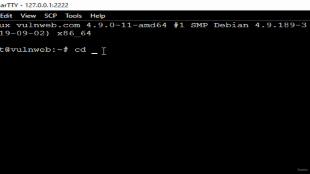 Introducción a las vulnerabilidades web – Screenshot 1