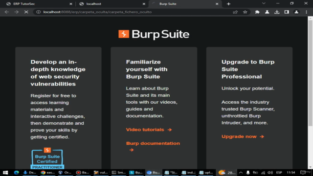 Introducción a las vulnerabilidades web – Screenshot 4