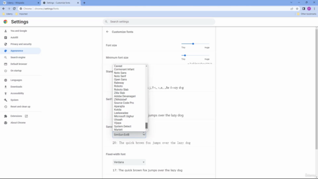 Learning Google Chrome From Scratch - Screenshot_04