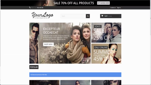 Successfully MASTER Prestashop Ecommerce Software – Screenshot 2