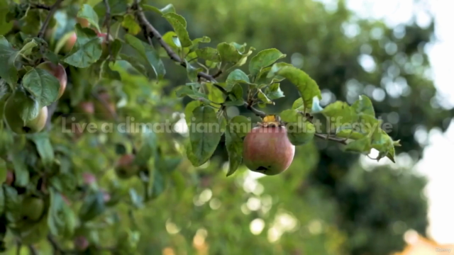 Sustainable Living 101 - Go Green And Become An Eco-Warrior – Screenshot 3