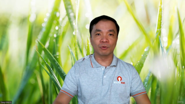 Kỹ thuật quản trị an ninh mạng Cisco Network Security – Screenshot 1