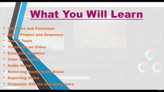 Adobe Premiere Pro CC Video Editing Course For Beginners – Screenshot 3