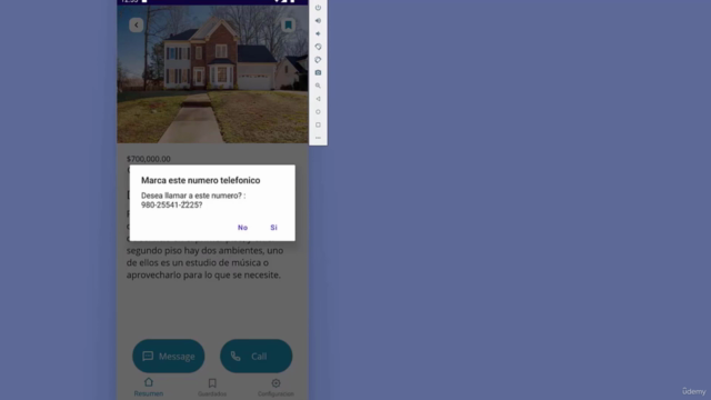 .NET MAUI desde las bases hasta Profesional | Android | IOS – Screenshot 3