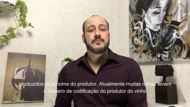 Sommelier intermediário, universo dos vinhos. – Screenshot 1