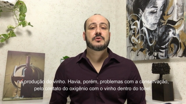 Sommelier intermediário, universo dos vinhos. – Screenshot 2