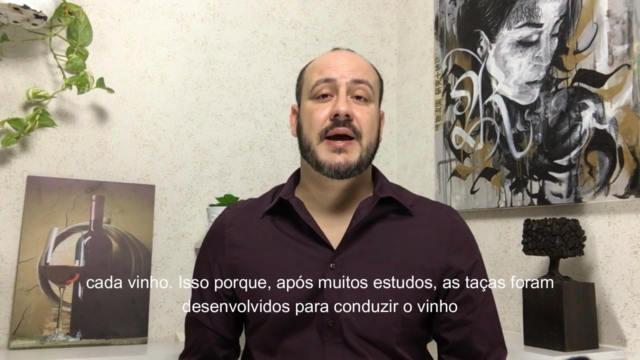 Sommelier intermediário, universo dos vinhos. – Screenshot 3