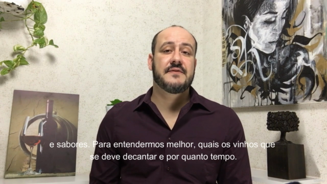 Sommelier intermediário, universo dos vinhos. – Screenshot 4