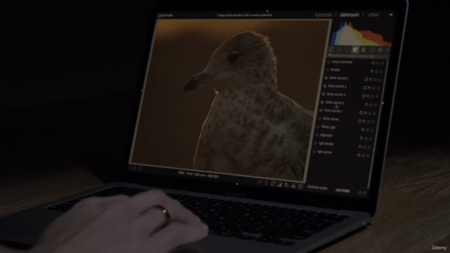 Darktable Essentials: Photo Editing - Essential Tools – Screenshot 1