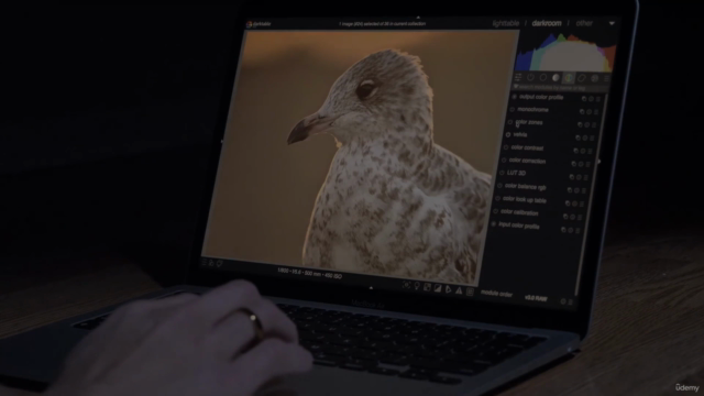 Darktable Essentials: Photo Editing - Essential Tools – Screenshot 2