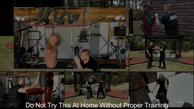 Monkey Kung Fu Basics Program – Screenshot 2