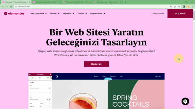 Elementor Yeni Başlayanlar için | Kendi İnternet Siteni Yap – Screenshot 1
