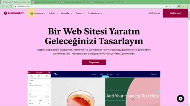 Elementor Yeni Başlayanlar için | Kendi İnternet Siteni Yap – Screenshot 2