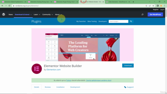Elementor Yeni Başlayanlar için | Kendi İnternet Siteni Yap – Screenshot 4