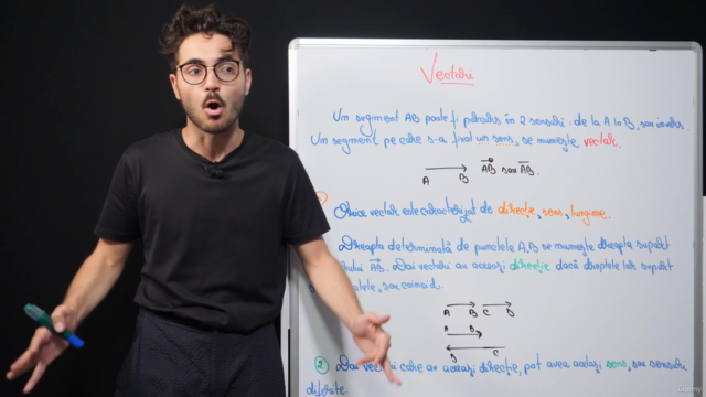 Vectori [Clasa a IX-a] – Screenshot 1