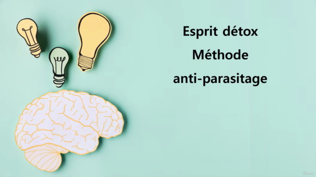 Programme Détox Anti-Parasitage – Screenshot 3