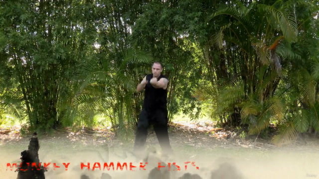 Drunken Monkey Kung Fu – Screenshot 3