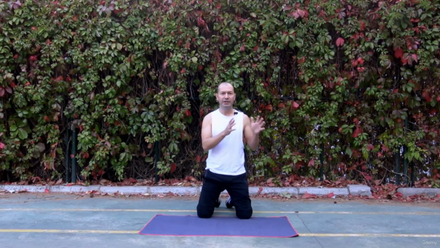 Functional Fitness: Power,Strength And Muscle Developement – Screenshot 3