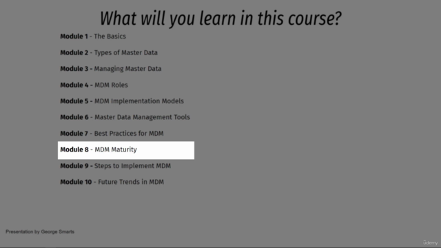 Master Data Management (MDM) - The Complete Course – Screenshot 3