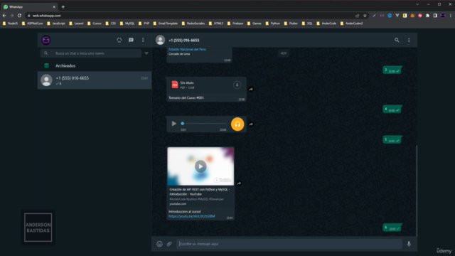 Desarrollo de Chatbot en WhatsApp Business con NodeJS – Screenshot 3