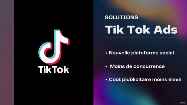 TikTok Ads Marketing : Une Formation Facile et Complète 2024 - Screenshot_02