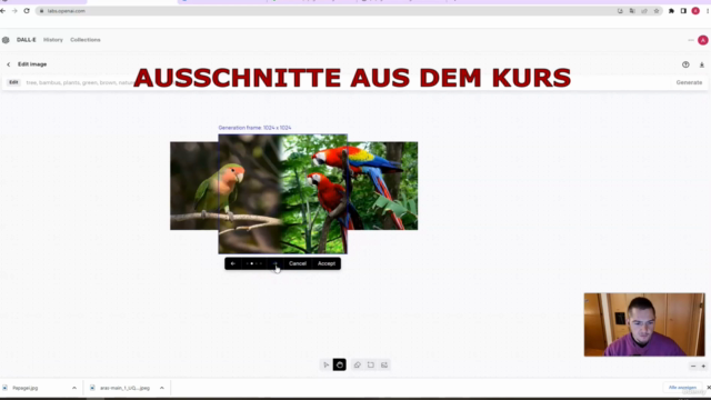 DALL•E meistern: Erstelle und bearbeite Kunst mit OpenAI – Screenshot 3