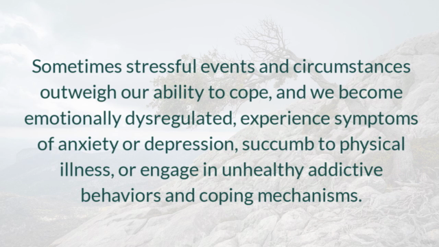 Managing Stress and Building Resilience Masterclass – Screenshot 2