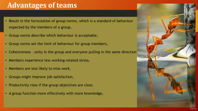 Powerful Leadership Lessons – Screenshot 2