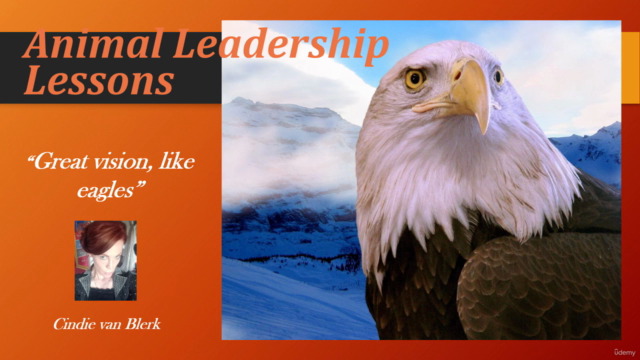 Powerful Leadership Lessons – Screenshot 3