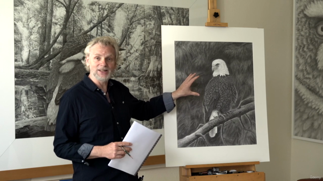 Vögel realistisch zeichnen: Der Adler – Screenshot 1