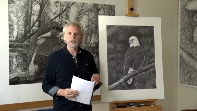 Vögel realistisch zeichnen: Der Adler – Screenshot 3