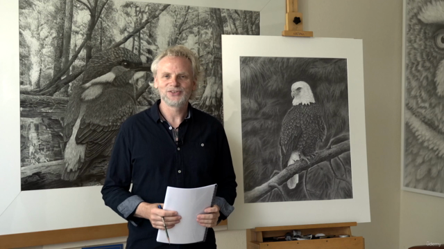 Vögel realistisch zeichnen: Der Adler – Screenshot 4