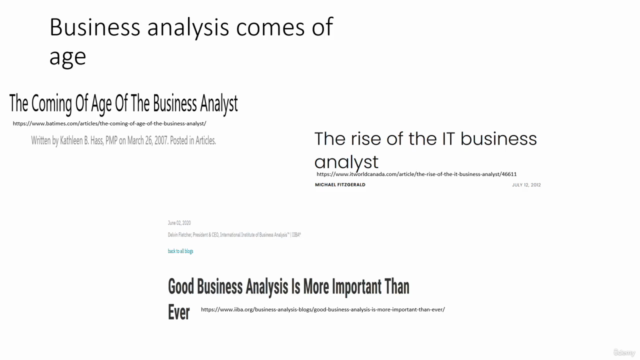 Business Analysis: The Big Picture – Screenshot 2